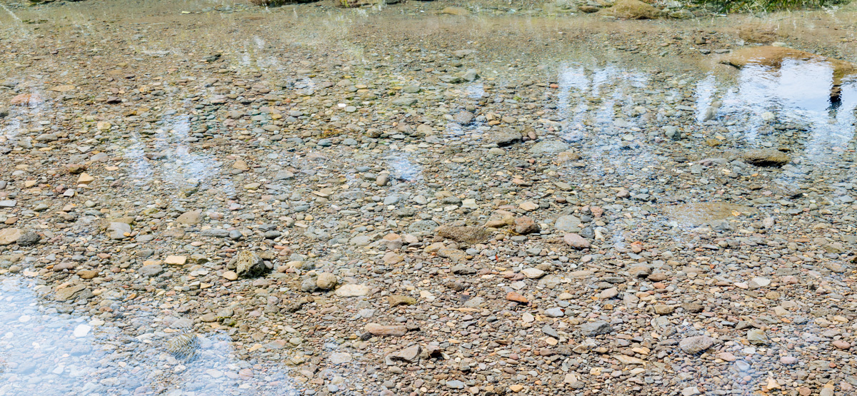 솜반천에는 사시사철 깨끗한 물이 흐른다