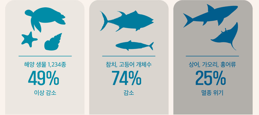 해양생물 1,234종 가운데 49% 이상이 감소했으며, 참치 및 고등어 개체수는 74% 감소, 상어, 가오리, 홍어류의 25%는 멸종위기