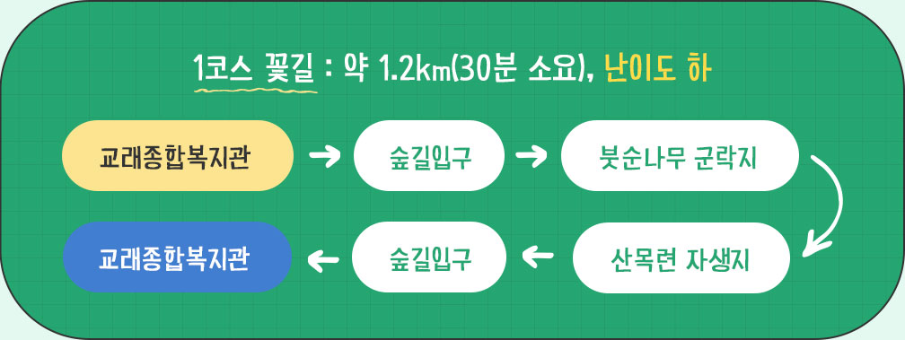 1코스 꽃길 : 약 1.2km(30분 소요), 난이도 하, 교래종합복지관→숲길입구→붓순나무 군락지→산목련 자생지→숲길입구→교래종합복지관