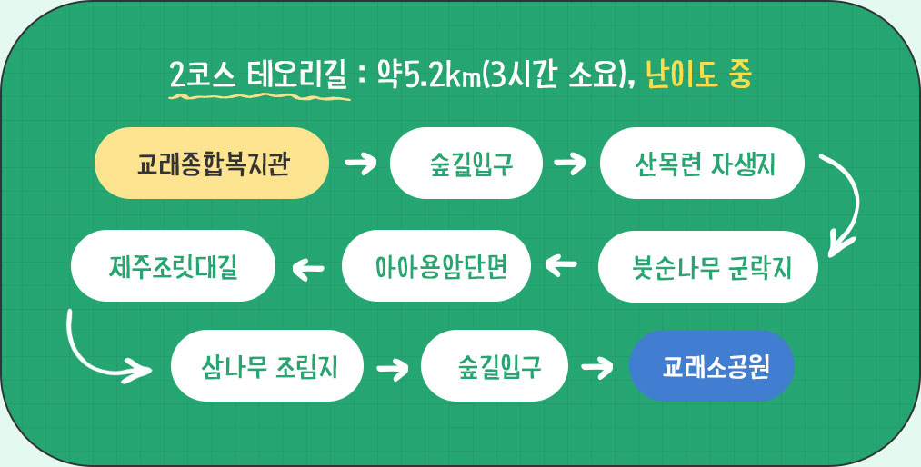 2코스 테오리길 : 약5.2km(3시간 소요), 난이도 중, 교래종합복지관→숲길입구→산목련 자생지붓→붓순나무 군락지→아아용암단면→제주조릿대길→삼나무 조림지→숲길입구→교래소공원