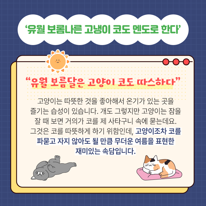 ‘유월 보롬나른 고냉이 코도 멘도로 한다’-“유월 보름달은 고양이 코도 따스하다” 고양이는 따뜻한 것을 좋아해서 온기가 있는 곳을 즐기는 습성이 있습니다. 개도 그렇지만 고양이는 잠을 잘 때 보면 거의가 코를 제 사타구니 속에 묻는데요. 그것은 코를 따뜻하게 하기 위함인데, 고양이조차 코를 파묻고 자지 않아도 될 만큼 무더운 여름을 표현한 재미있는 속담입니다.