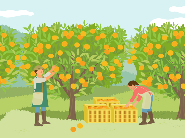 로케이션 in 제주