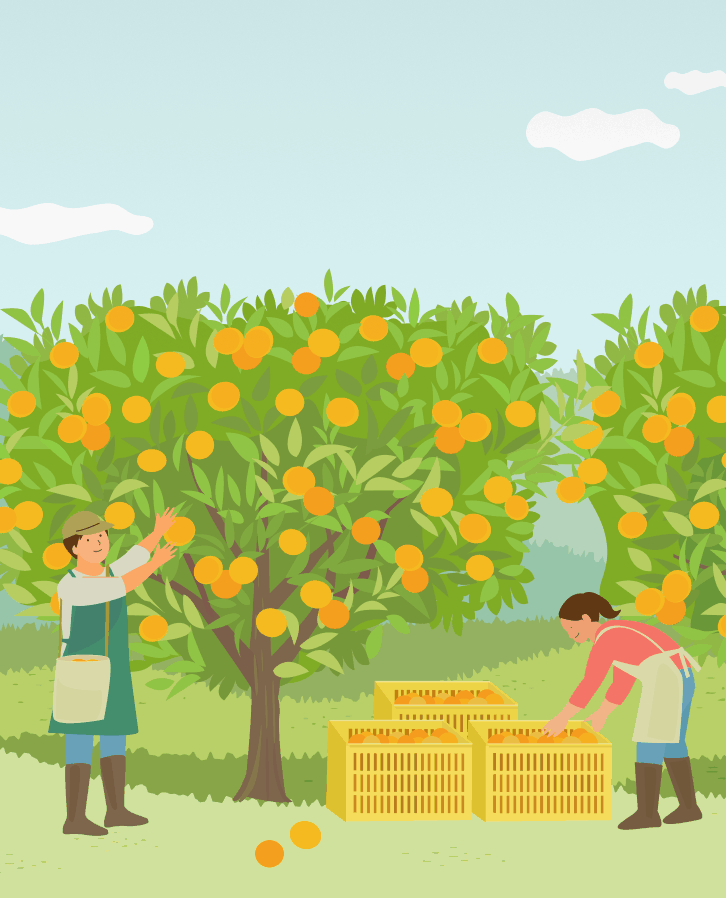 로케이션 in 제주