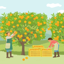 로케이션 in 제주