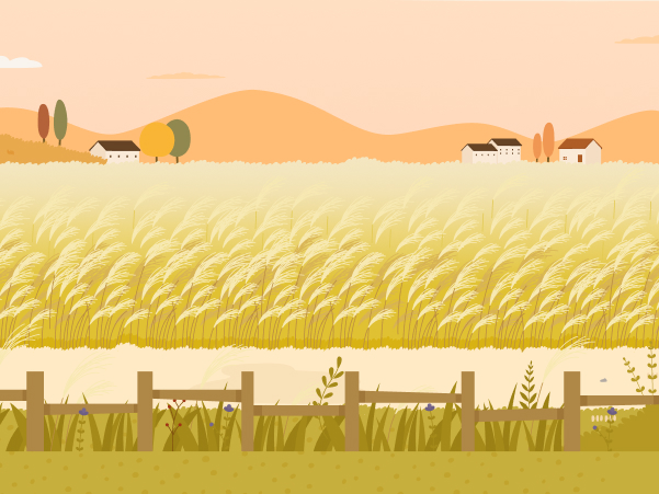 로케이션 in 제주