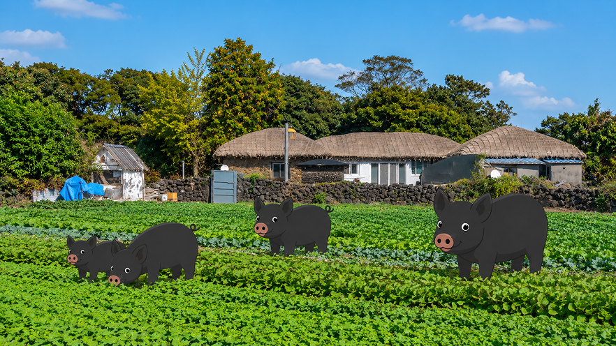 제주 문화 돋보기