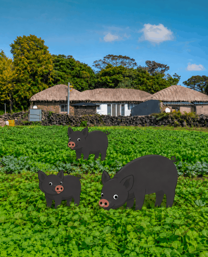 제주 문화 돋보기