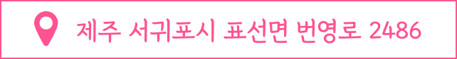 제주 서귀포시 표선면 번영로 2486