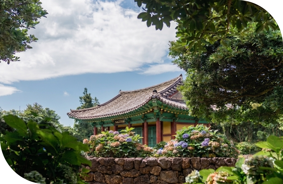 수국이 핀 성산 혼인지 전경