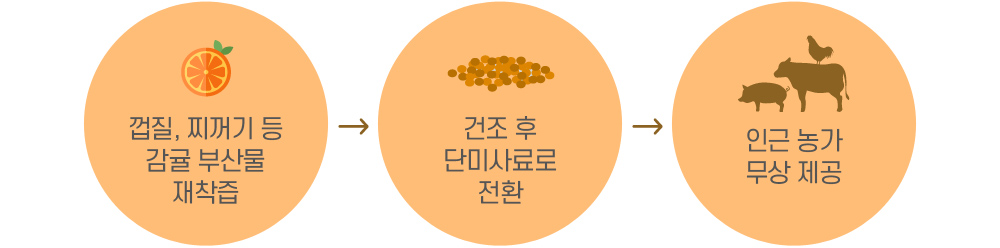 껍질, 찌꺼기 등 감귤 부산물 재착즙→건조 후 단미사료로 제작→인근 농가 무상 제공