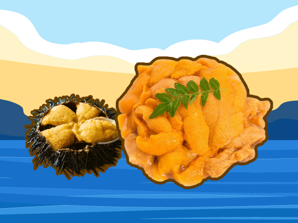 제주 맛 기행