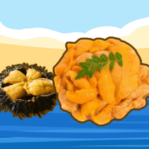 제주 맛 기행